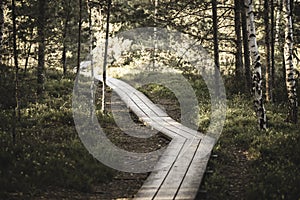 wavy wooden foothpath in swamp forest tourist trail - vintage retro look