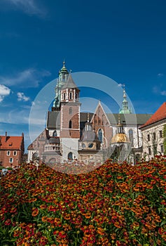 Wawel Castle and Church in Krakow Poland