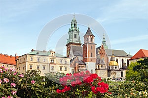 Wawel castle with flowers