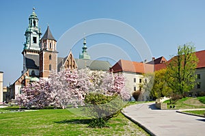 Wawel castle in Krakow photo