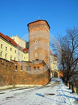 Wawel Castle in Krakow, Poland photo