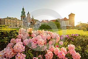 Wawel Cathedral in Krakow, Poland