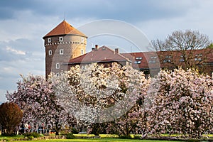 Wawel Royal Castle in flowers