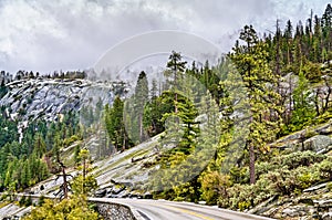 Wawona Road in Yosemite National Park, California photo