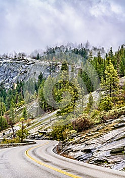 Wawona Road in Yosemite National Park, California photo