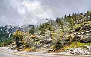 Wawona Road in Yosemite National Park, California photo