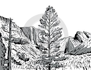 Wawona Tunnel Vista View of Yosemite National Park Comics Style Drawing photo
