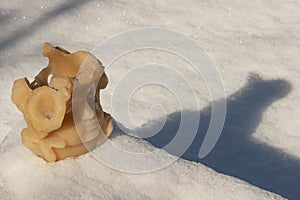 A wax angelic face set in snow has a sad appearance as new snow appears outside. Text space.