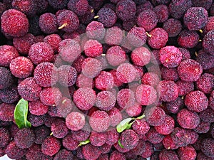 waxberry