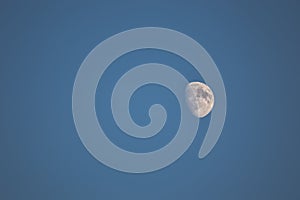Waxing Gibus moon in a daytime sky