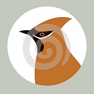 Waxwings vector illustration flat style