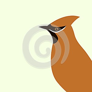 Waxwings vector illustration flat style