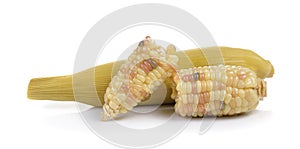 Waxy corn on white background