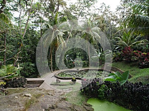 Way back to Hindu temples at Goa Gajah, Bali