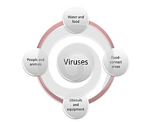 The way of Bacteria can be transmitted