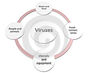 The way of Bacteria and viruses can be transmitted