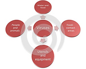 The way of Bacteria and viruses can be transmitted