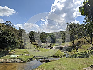 Way belezas Green blue sky friends