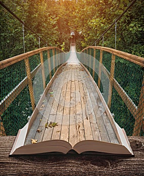 Way by the bridge in a forest on the pages of book