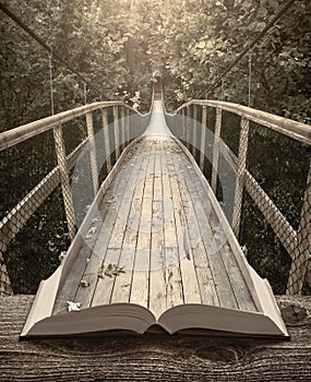 Way by the bridge in a forest on the pages of book, vintage