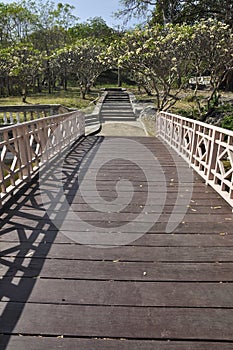 Way Bridge Wood Garden Park Long