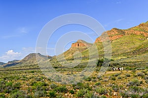 On the way from BÃ¼llsPort to Sesriem, Namibia