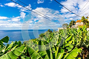 On the way on the city levadas of Funchal with a fantastic view on the Atlantic Ocean