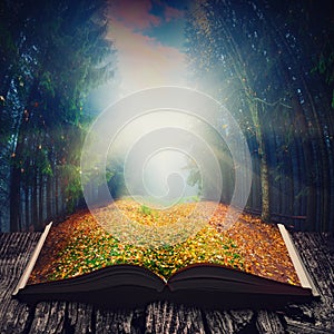 Way through the fairytale forest on the book