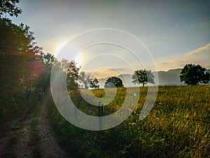 Way through a field full of yellow grass and trees in the morning sunrise, with two pilgrims walking. Camino de Santiago photo