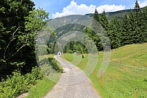 Way in Giant Mountains, Czech Republic