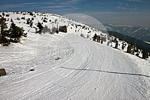 Way in Krkonose mountains