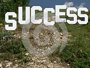 The way leading to success