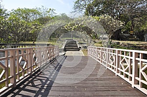 Way Long Bridge Wood Garden Park