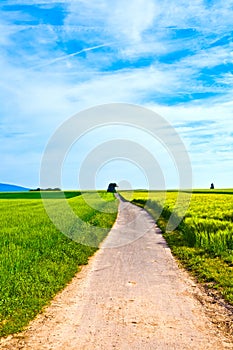 Way through meadows