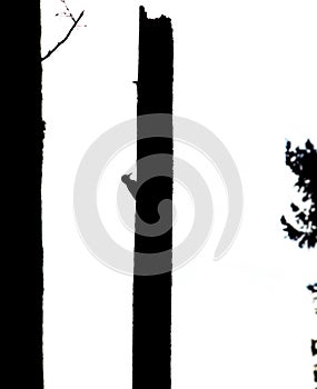 The Way Nature Works