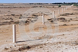 Way of Peace in the Negev Desert