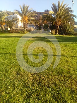 Way of the river Jucar