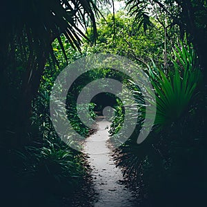 Greenery Path Nature Pathway Green Forest Road