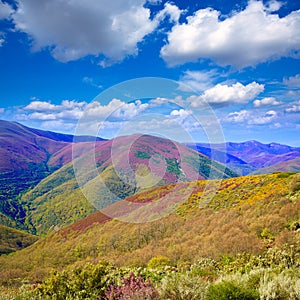 The way of Saint James in Leon pink mountains