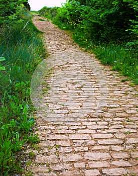 The way of Saint James world map in grass Cirauqui photo