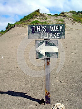 This way sign