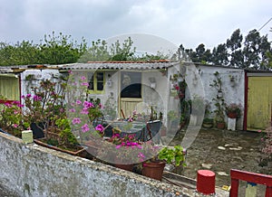 The Way of St. James