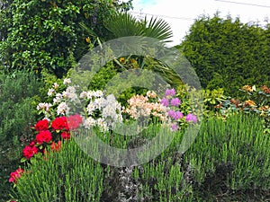 The Way of St. James