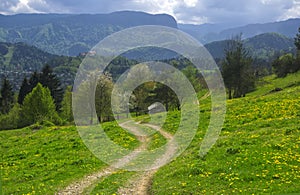 Way in sunlit alpine valley at spring day, Slovenia