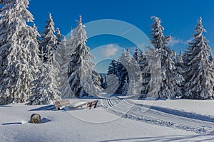 On the way through the Thuringian forest photo