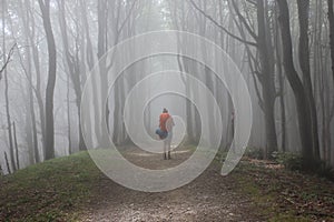 In a foggy forest to Assisi photo