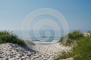 Way to beach marram grass on dune with blue sky and ocean in background