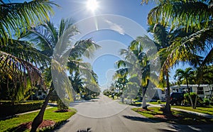 Way to the beach with palm trees in key west florida