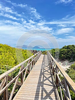 Way to the beach through a pine forest along a wooden path in Mallorca