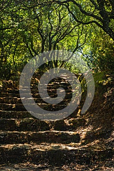 Way to the cross, via crucis, trail on ancient forest of Bussaco, in Luso, Mealhada, Aveiro in Portugal